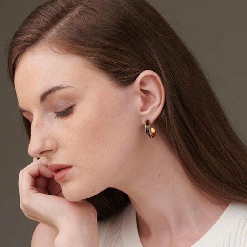 Black Round Hoop Earrings Earrings