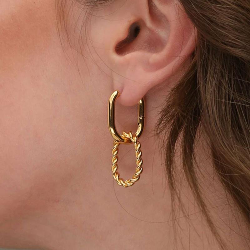 Double Rings Hoop Earrings Earrings